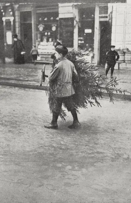 A child bringing home a Christmas tree, photograph by Adolfo Croce, from L'Illustrazione Italiana, Year XXXIII, No 51, December 23, 1906.