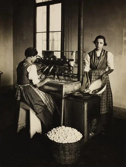 Twisting machine to reel and twist silk at the same time, Regia Stazione Bacologica Sperimentale. Italy, 20th century.