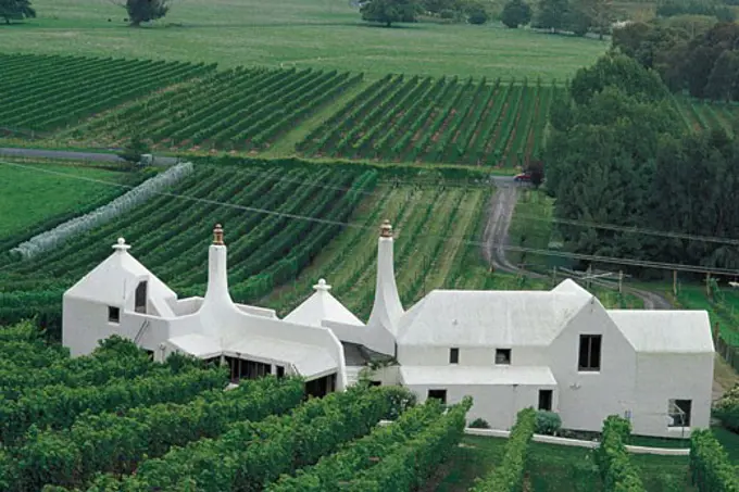 New Zealand - Napier - Vineyards