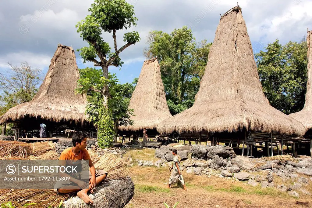 Indonesia, Sunda Islands, Sumba, typical straw roofs