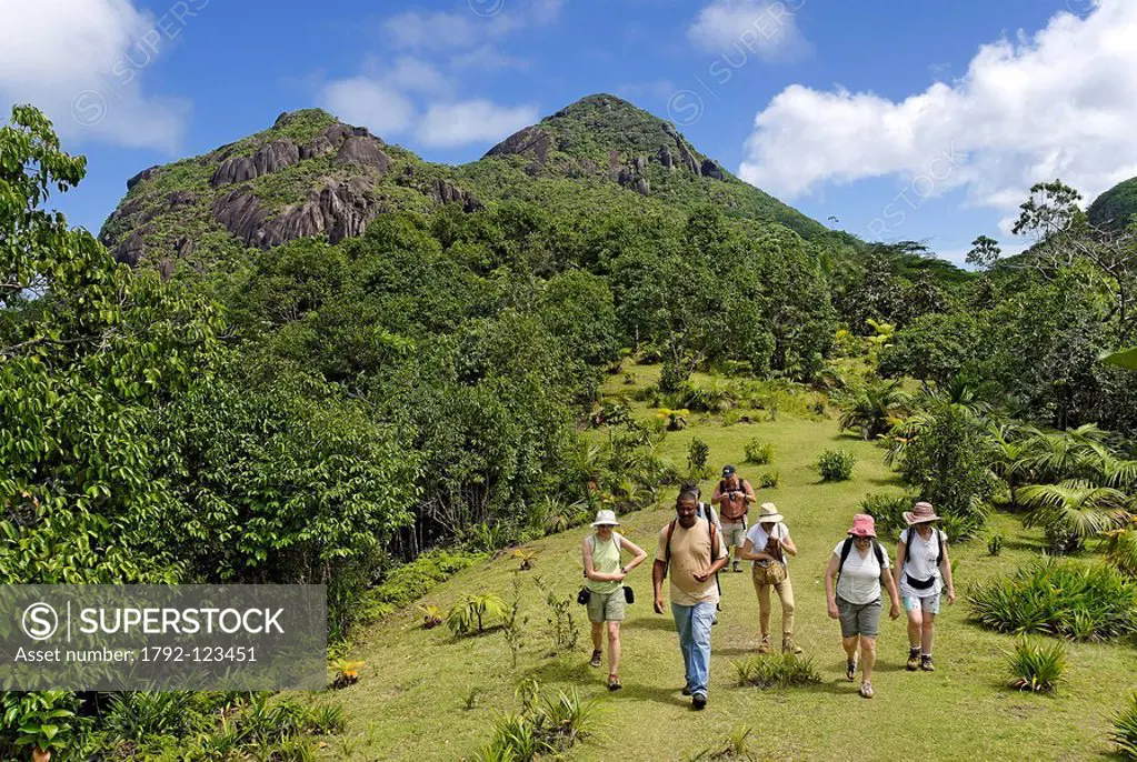 Seychelles, Mahe Island, hiking in the heart of the Morne Seychellois National Park with Jasmin Mount in the background