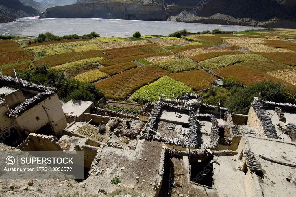 Nepal, Dhawalagiri Zone, Mustang District (former Kingdom of Lo), Chuksang