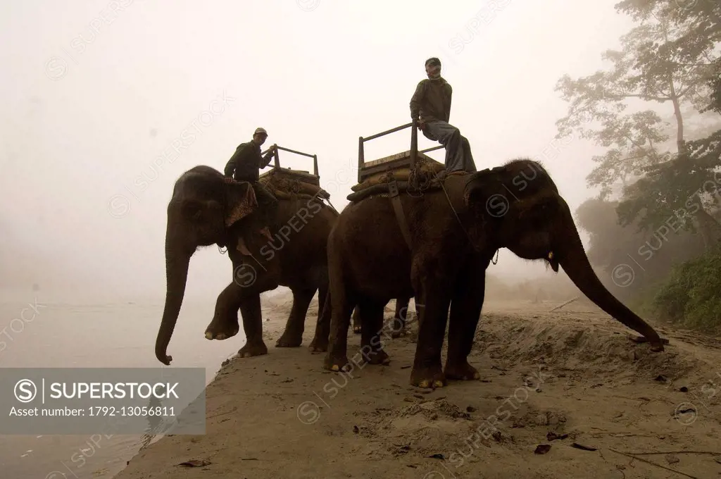 Nepal, Terai area, Narayani Zone, Chitwan National Park, safari on elephant back