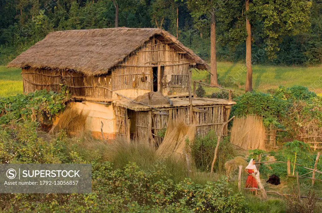 Nepal, Terai area, Chisapani, traditional house