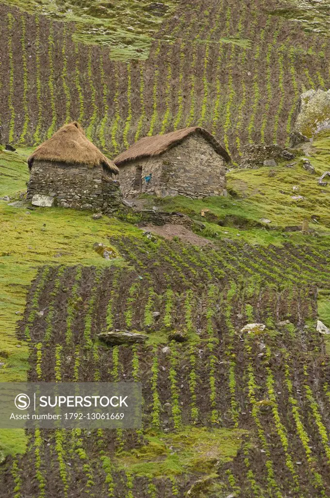 Peru, Carabaya Cordillera, Sinakara Range, Cuzco Province, Q'ero indigenous people, the ultimate descendants of Incas, Hatun community, annex of Collp...