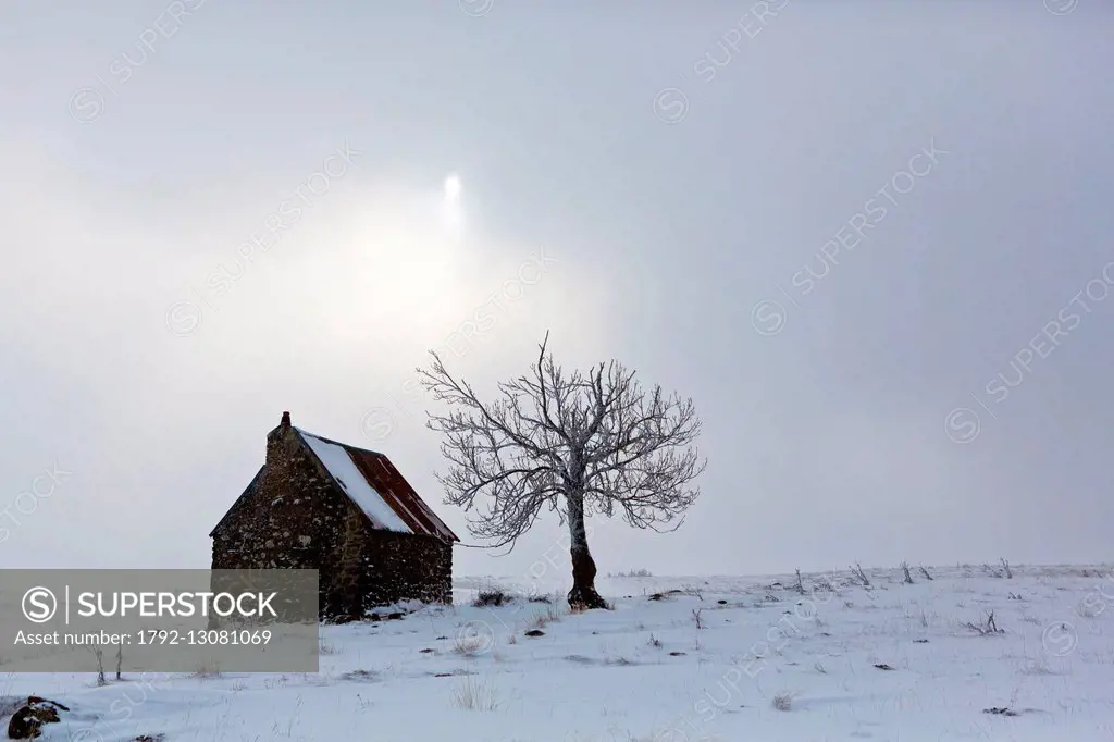 France, Puy de Dome, mountain hut, buron, winter, la Godivelle, plateau of Cezallier, Parc Naturel Regional des Volcans d'Auvergne (Auvergne Volcanoes...