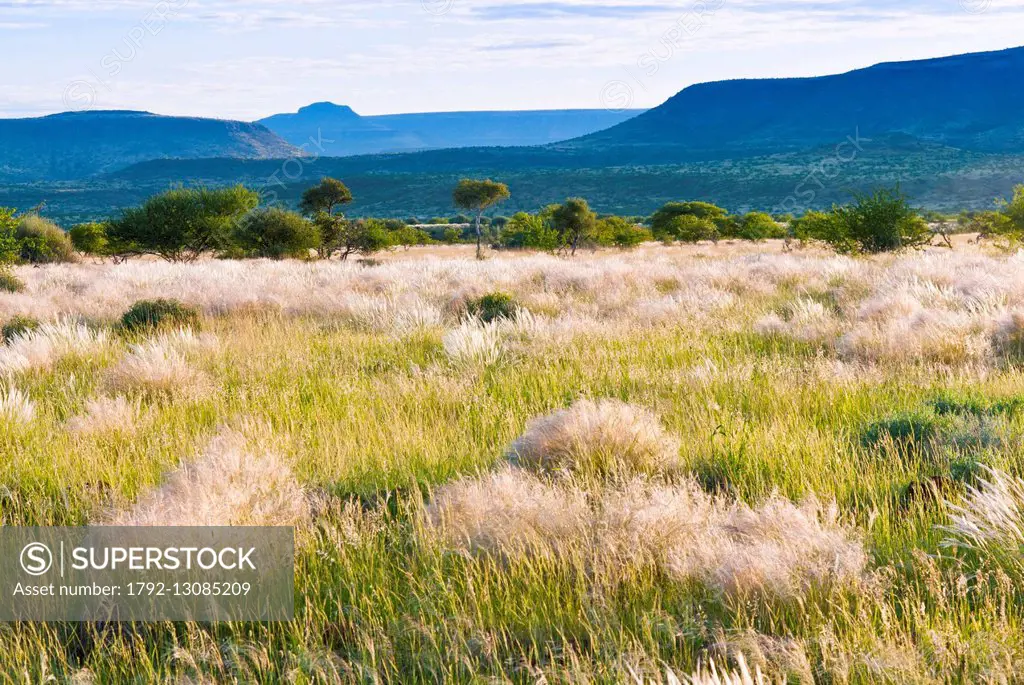 Namibia, Kunene region, Damaraland