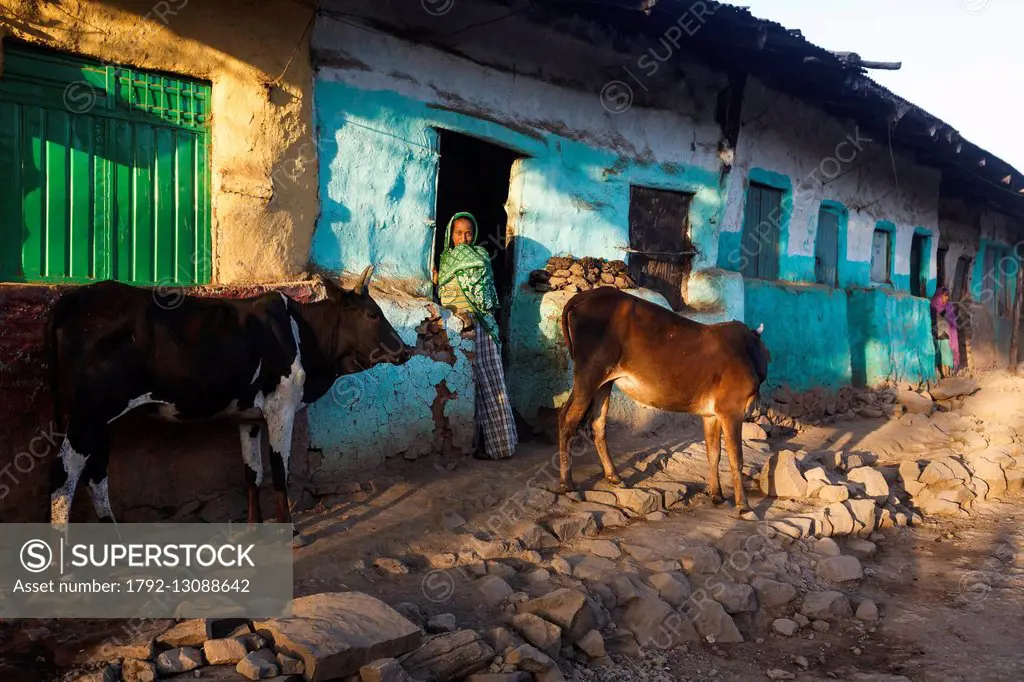 Ethiopia, Amhara region, Adi Arkay, a village street at the sunrise