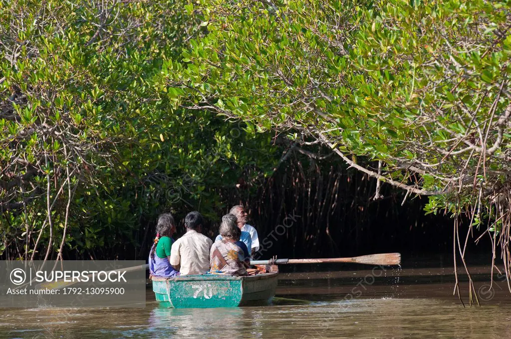 Tamil Nadu State Wetland Authority