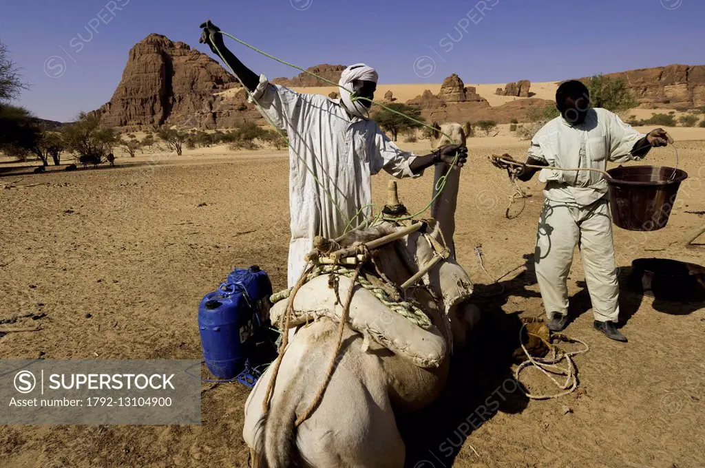 Chad, Southern Sahara desert, Ennedi massif, Birdjigol well