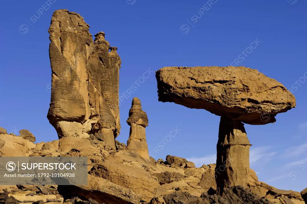 Chad, Southern Sahara desert, Ennedi massif, Deli mushrooms