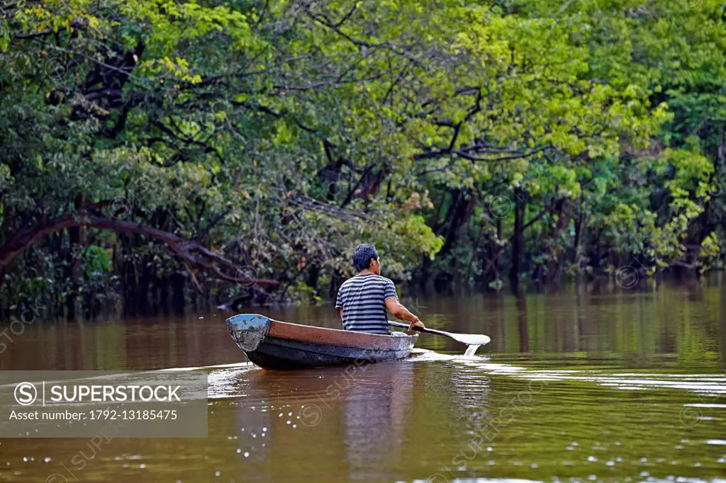 Brazil, Amazonas state, Amazon river basin, Indian of the Apurina tribe, fisherman going to look after the fishnet