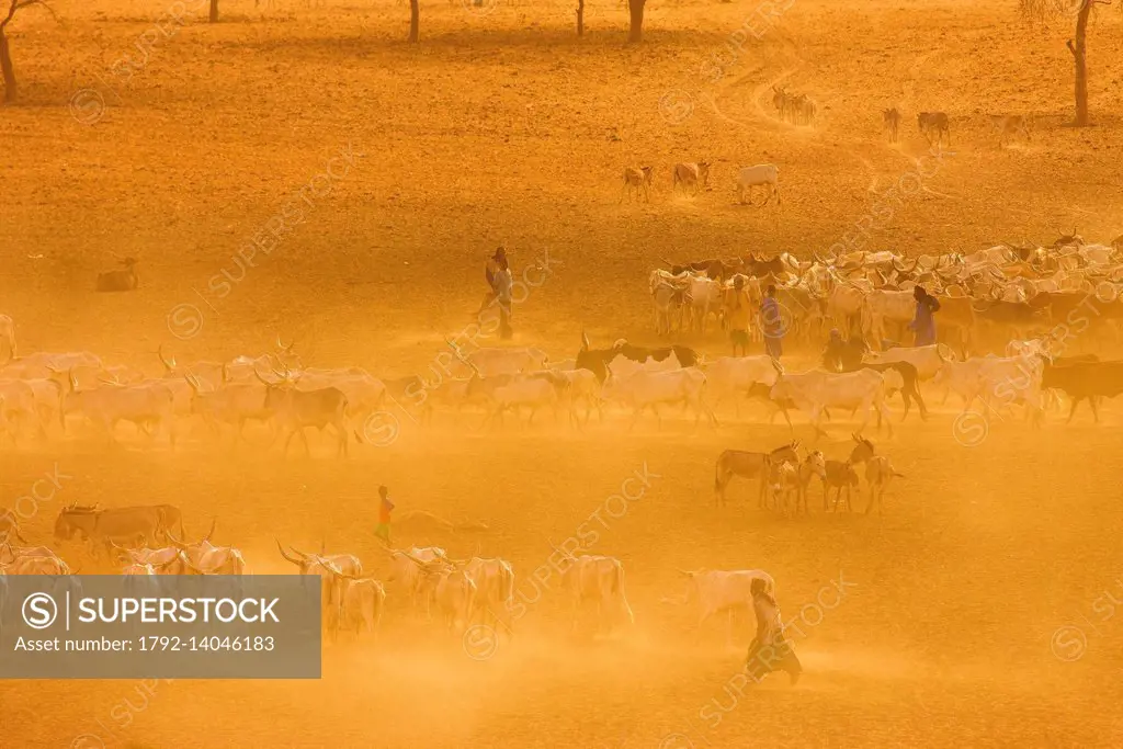 Senegal, Sahel, Ferlo region, Widou Thiengoly, Semi desert landscape in the Sahel