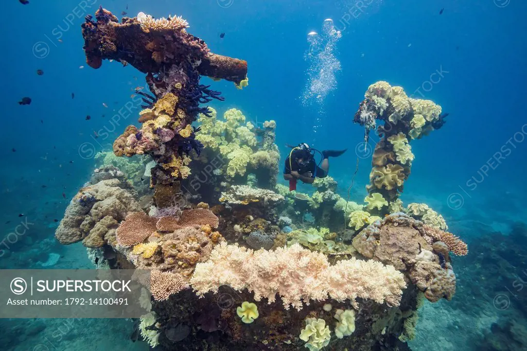 Philippines, Mindoro, Apo Reef Natural Park, diver on a wreck of a fishing boat covered by corals