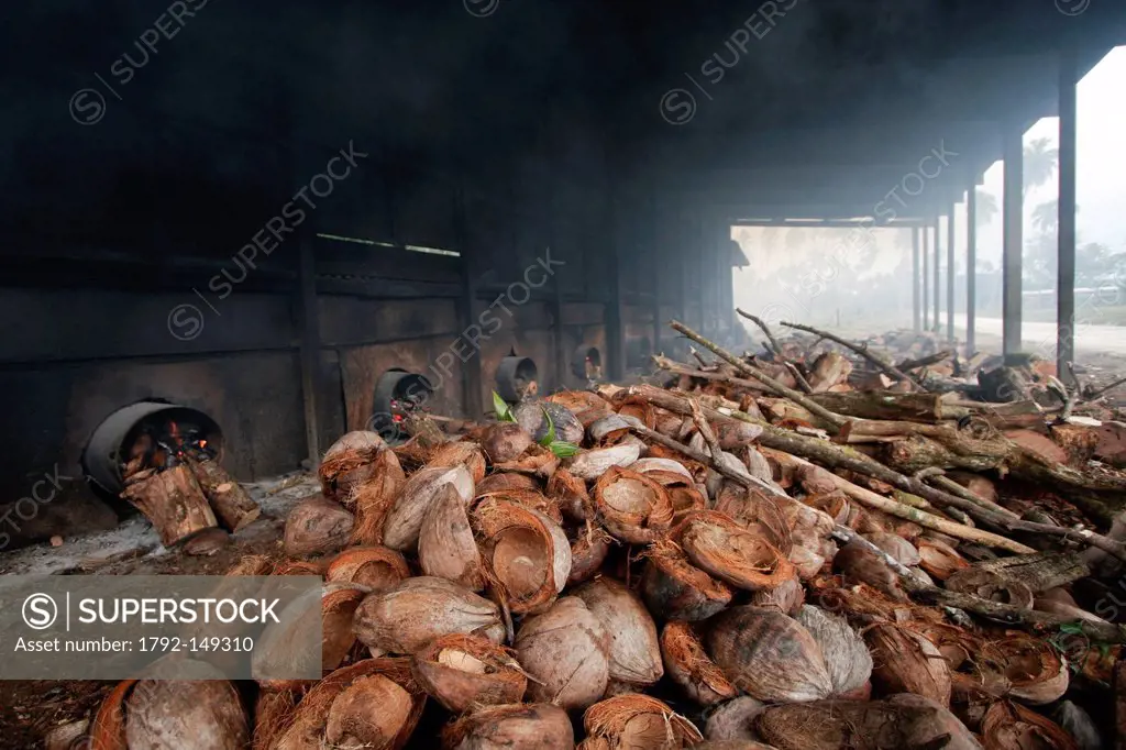 Vanuatu, Sanma Province, Espiritu Santo Island, Luganville, copra_drying to produce oil