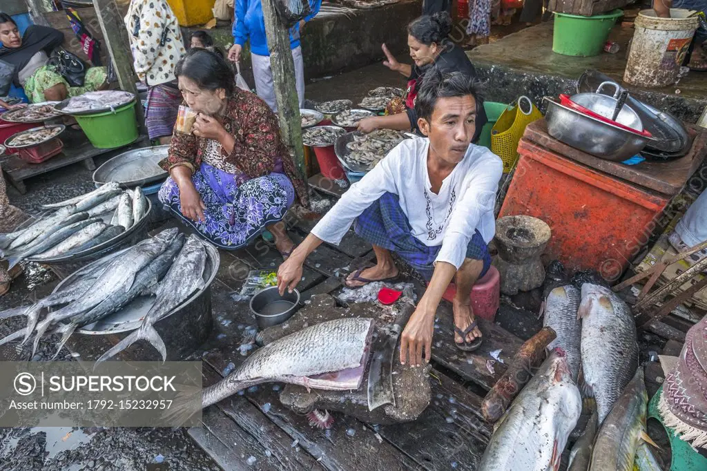 Myanmar (Burma), Rakhine state (or Arakan state), Sittwe, fish market