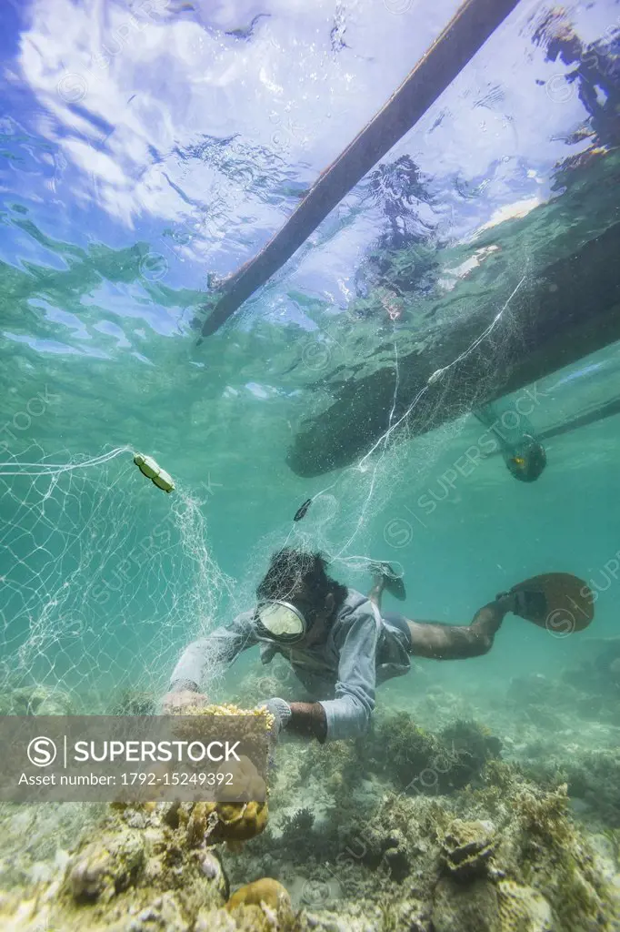 Philippines, Palawan, Dumaran Island, fisherman picking up reef fishes from his fishnet