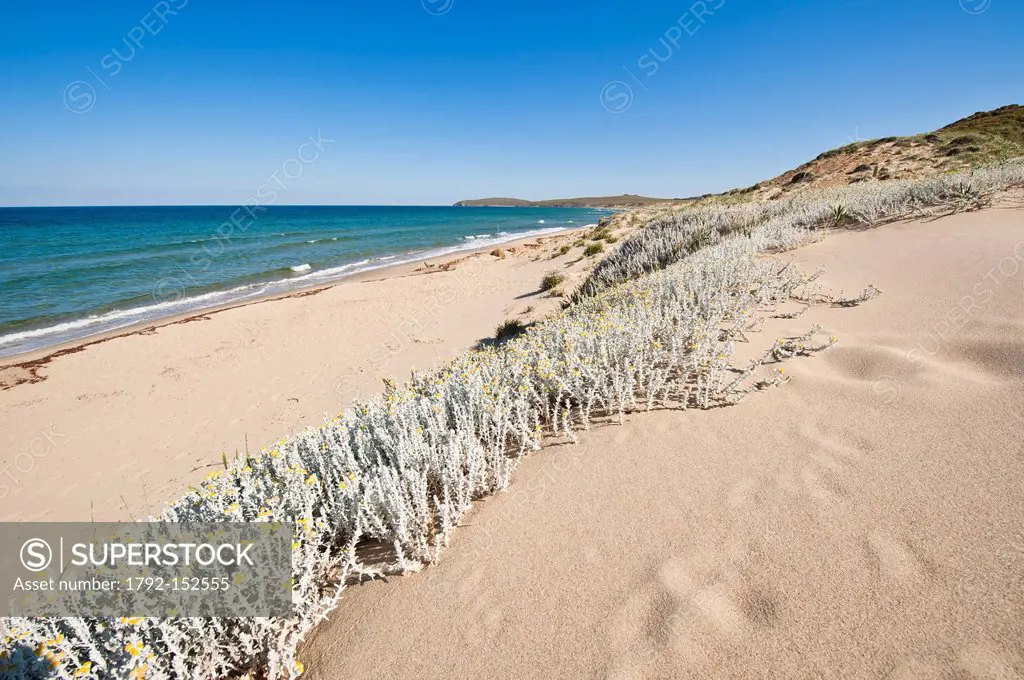 Greece, Lemnos Island, the beach of Paralia Kaminia and its sand dunes on the East coast