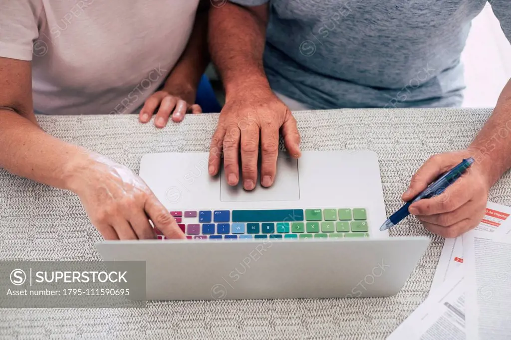 Senior couple using laptop