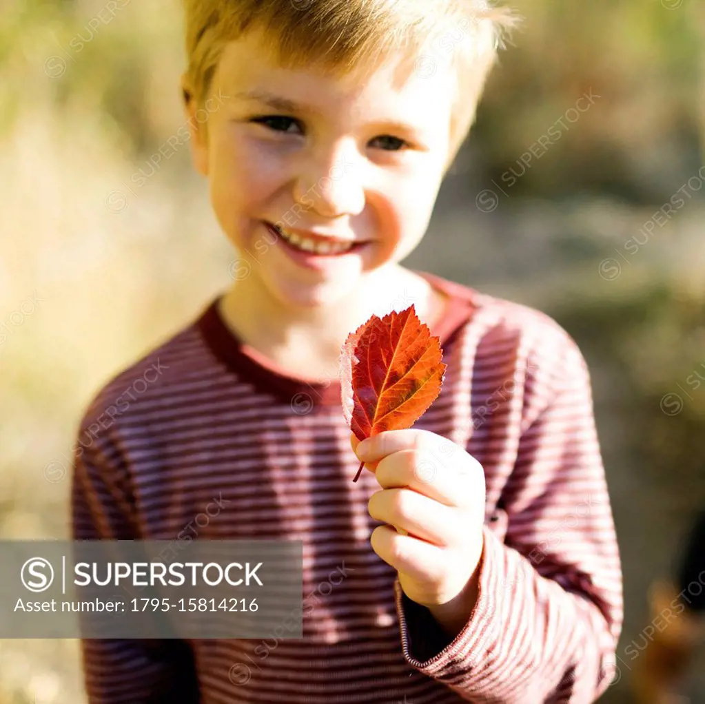 Smiling boy holding autumn leaf