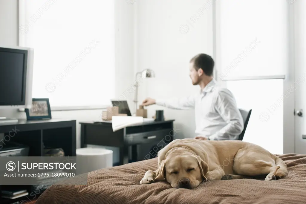 Caucasian businessman working in bedroom