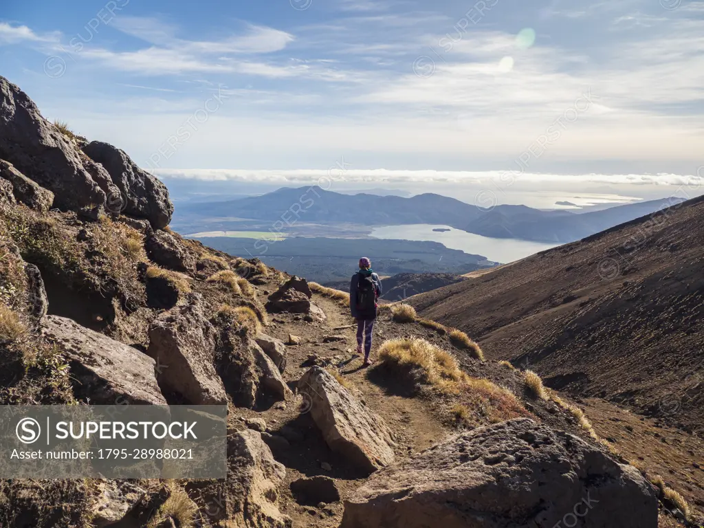 New Zealand, Waikato, Tongariro National Park, Hiker hiking