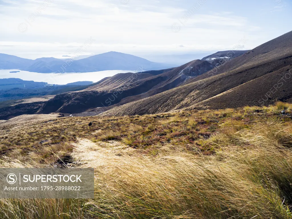 New Zealand, Waikato, Tongariro National Park, Volcanic landscape