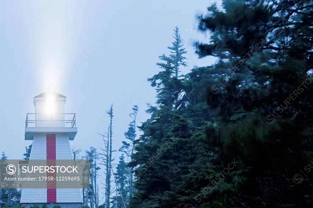 Low angle view of lighthouse by forest