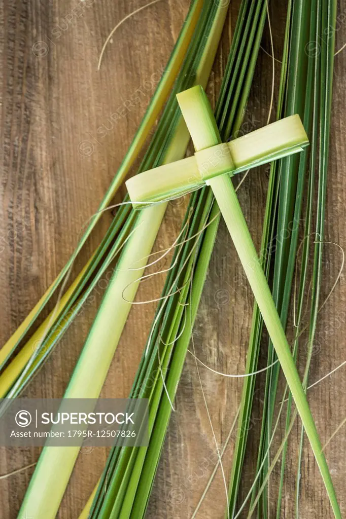 Palm leaves for palm sunday