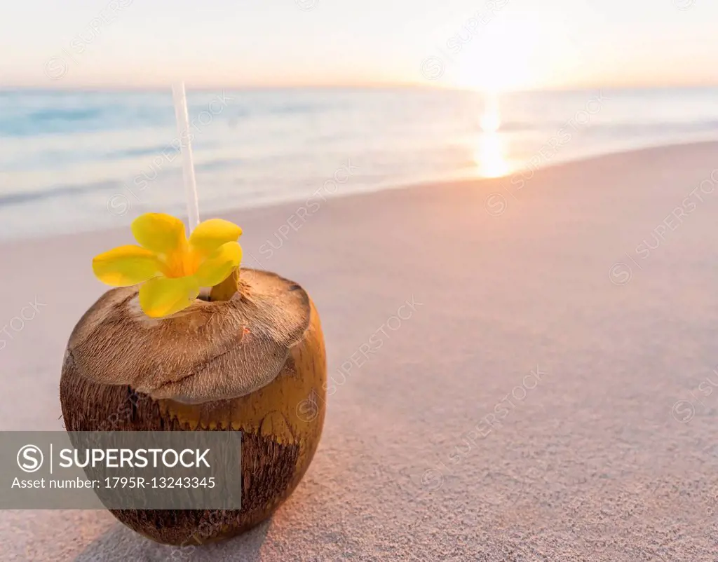 Tropical cocktail in coconut shell on sandy beach