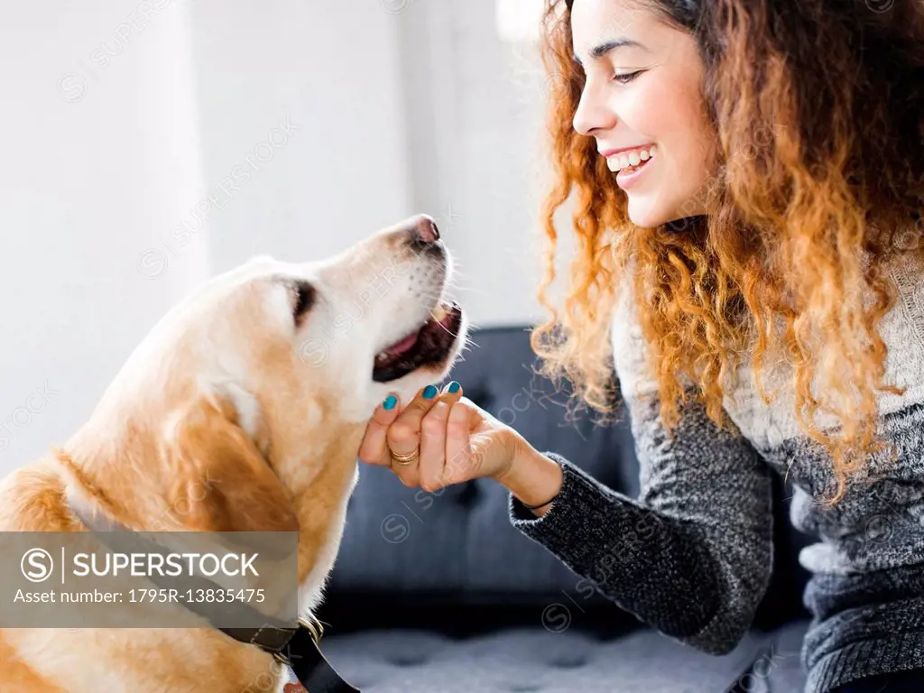 Smiling woman stroking dog in living room