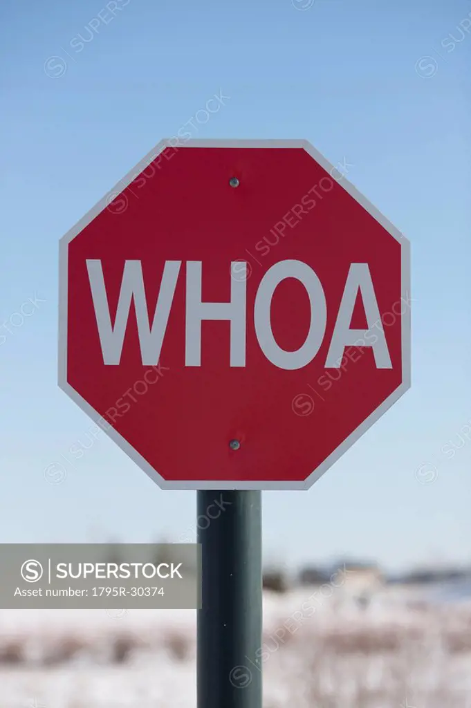 Stop sign with the word WHOA on it