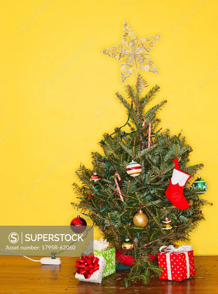 Small Christmas tree against yellow wall, studio shot