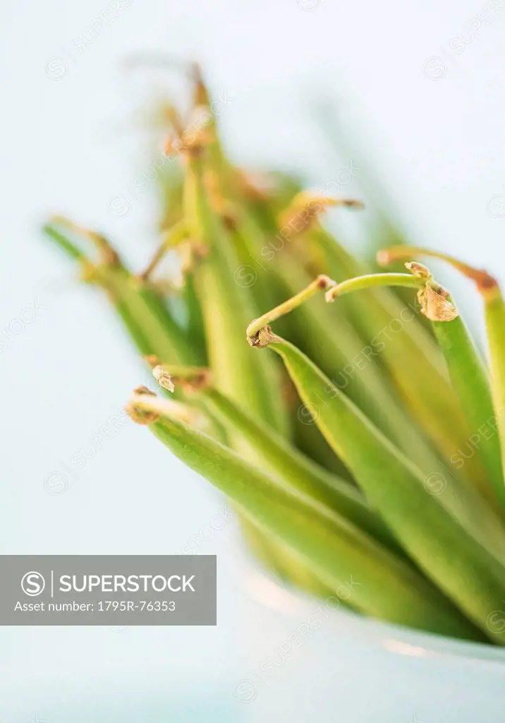 Studio shot of french green beans