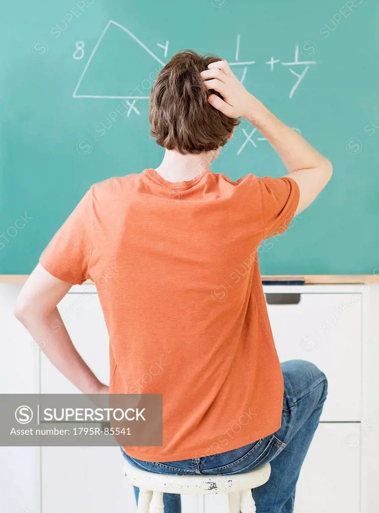 Teenage boy (14-15) in classroom