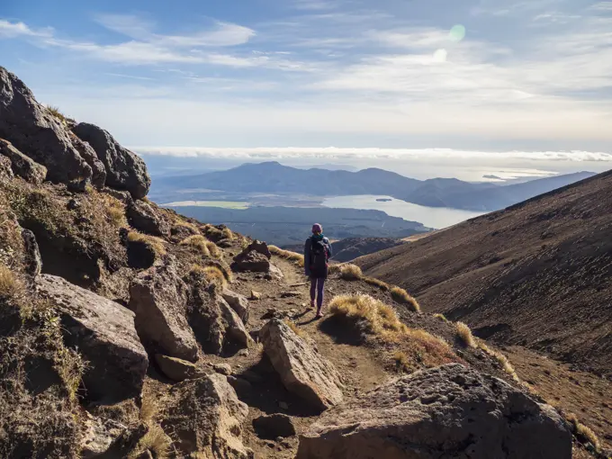 New Zealand, Waikato, Tongariro National Park, Hiker hiking