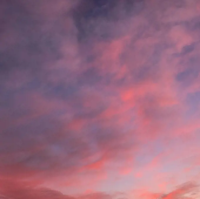 Sunset sky with pink clouds