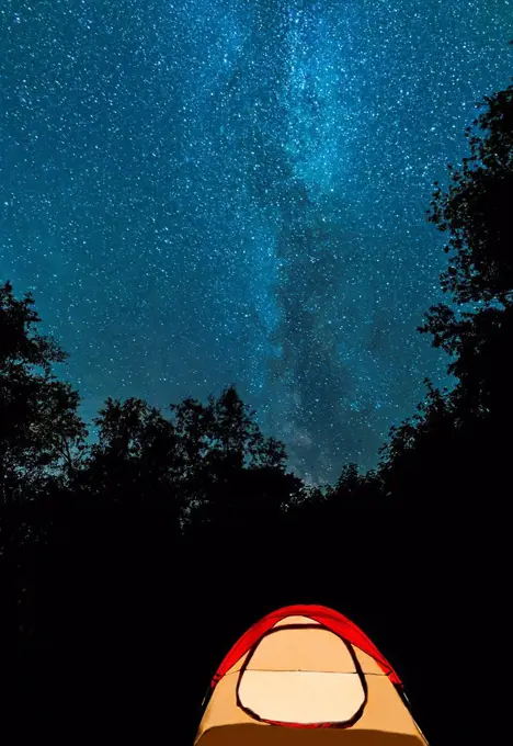 Tent in forest against stars on night sky