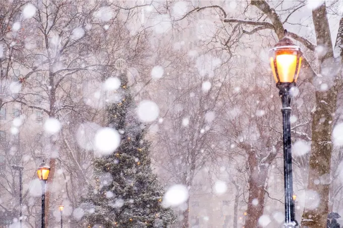 USA, New York State, New York City, Madison Square Park in snow