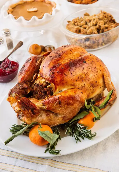 Roast turkey