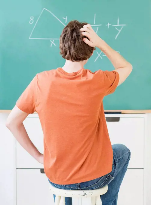 Teenage boy (14-15) in classroom