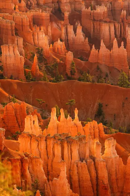 Elevated view of rocks