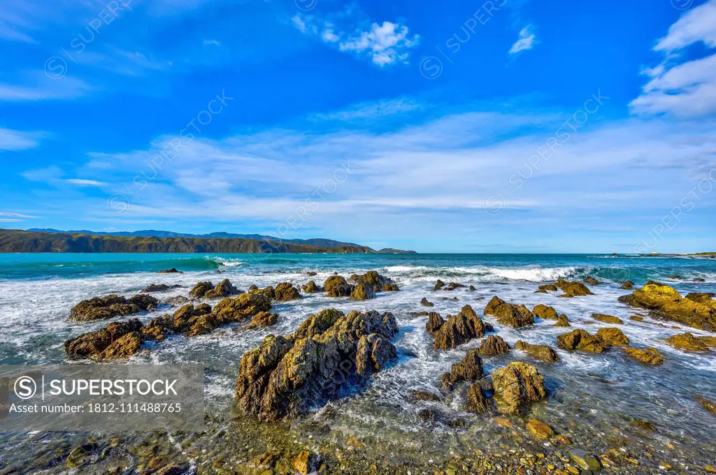 Rocks on the shore of the South coast of the North Island of New Zealand; Wellington, North Island, New Zealand