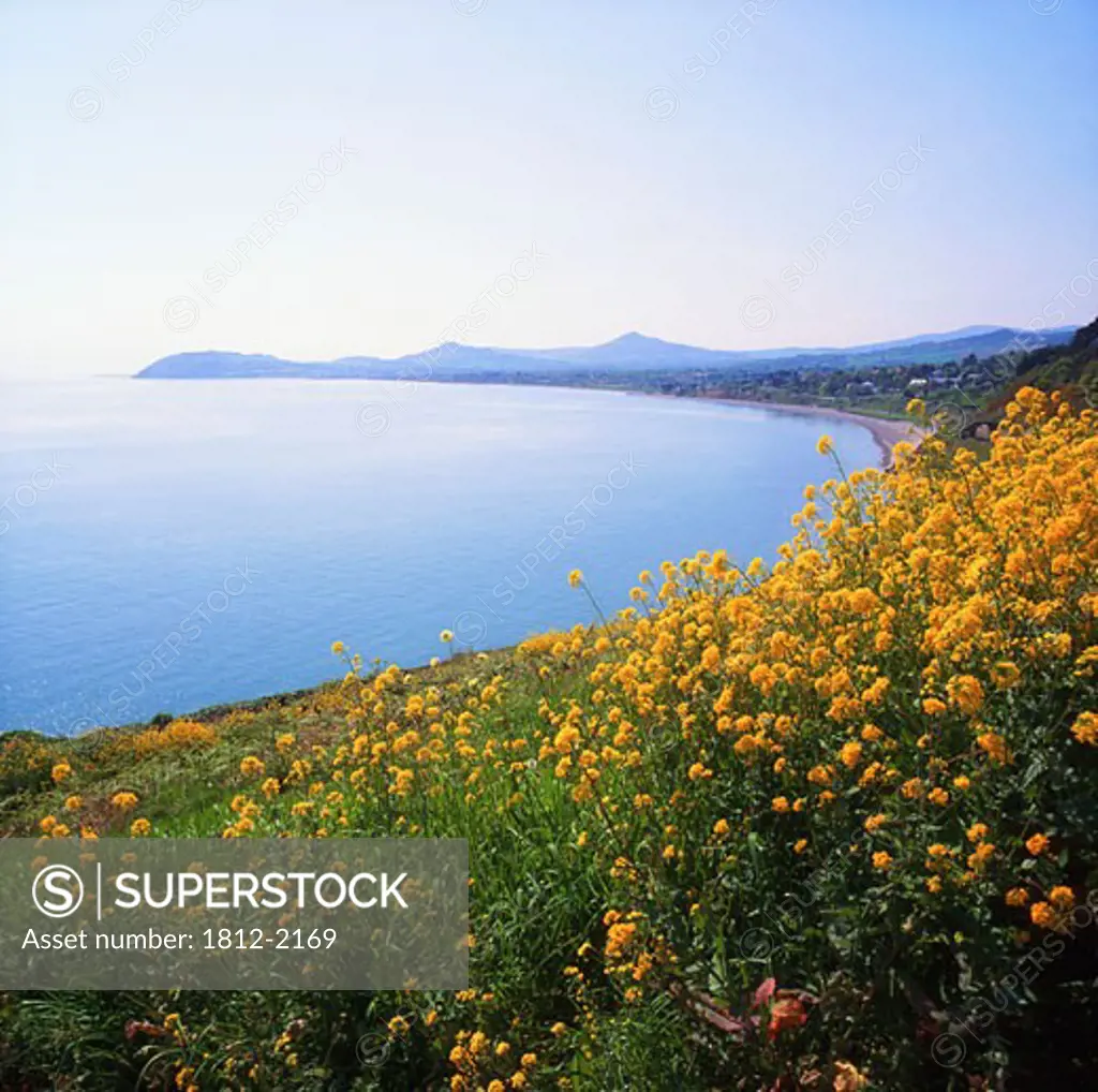 Killiney Hill, Dublin Bay, Co Dublin, Ireland