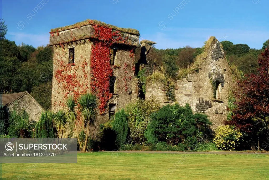 Ballyvourney, County Cork, Ireland; Castle ruins