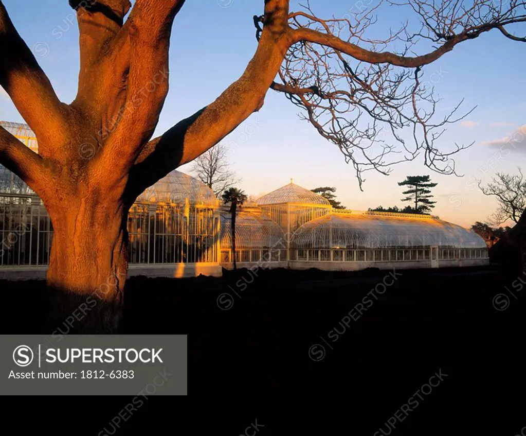 Curvilinear Range of Glasshouses, Irish National Botanic Gardens, Dublin, Co Dublin, Ireland