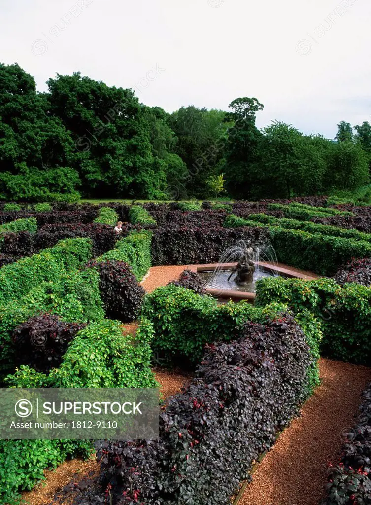 Scone Palace, Perth, Scotland, The Maze