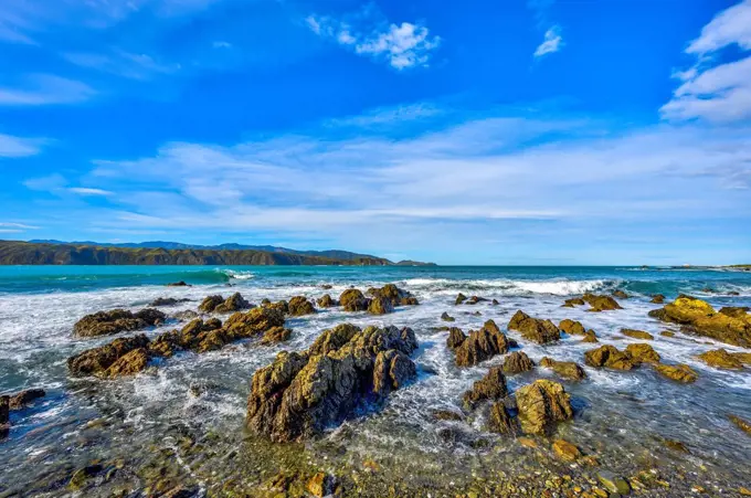 Rocks on the shore of the South coast of the North Island of New Zealand; Wellington, North Island, New Zealand