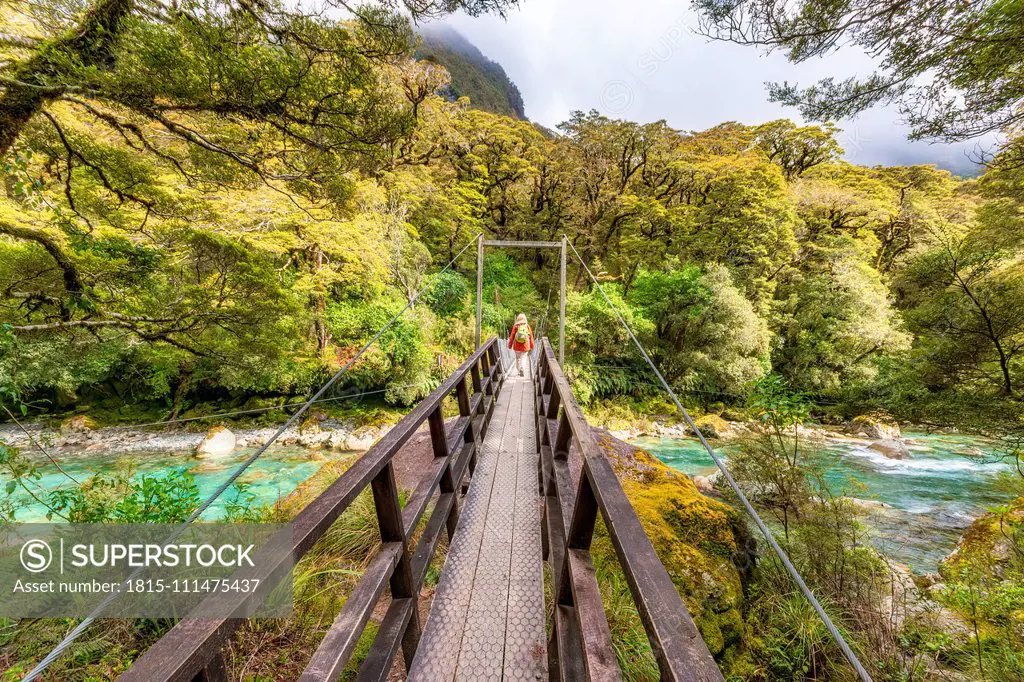 Female hiker walking across swing bridge over river, Fiordland National Park, South Island, New Zealand