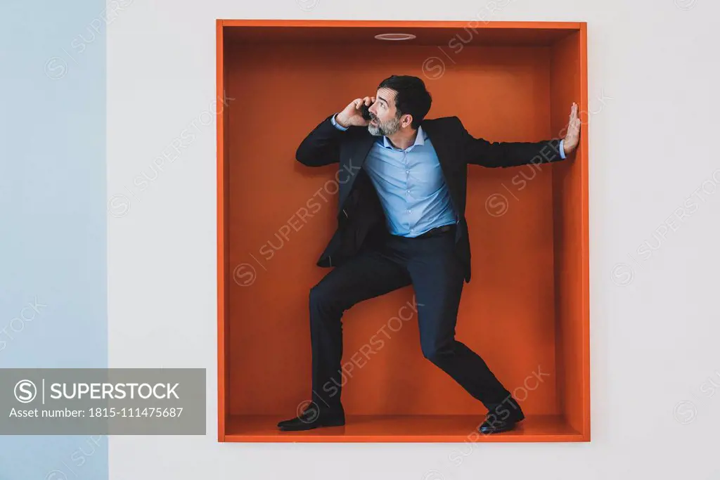 Mature businessman on cell phone caught in a niche